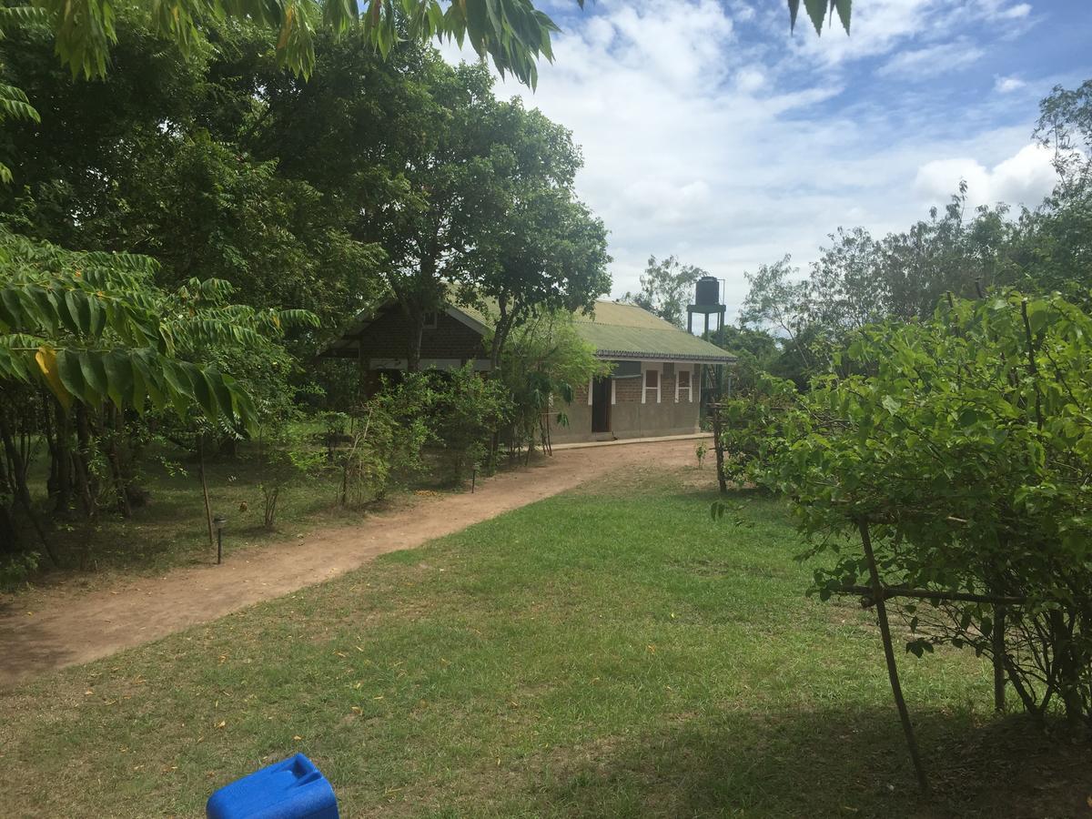 Captain'S Bird Safari Lodge Puttalam Buitenkant foto
