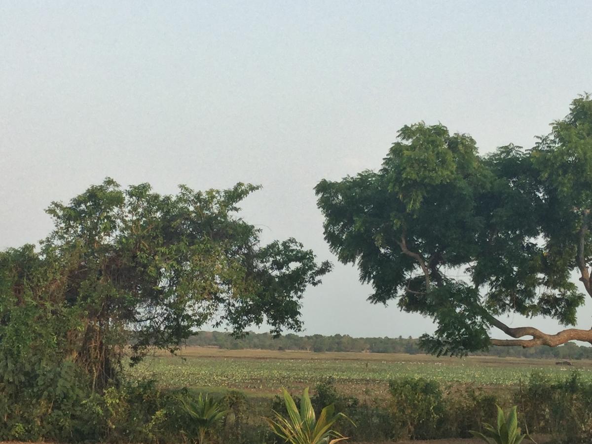 Captain'S Bird Safari Lodge Puttalam Buitenkant foto