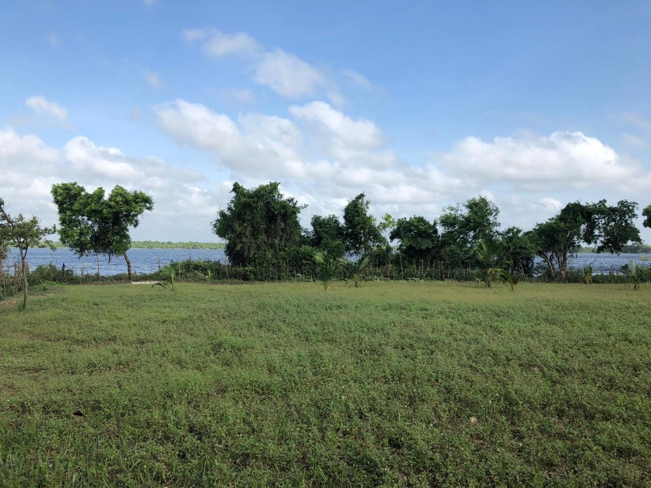 Captain'S Bird Safari Lodge Puttalam Buitenkant foto