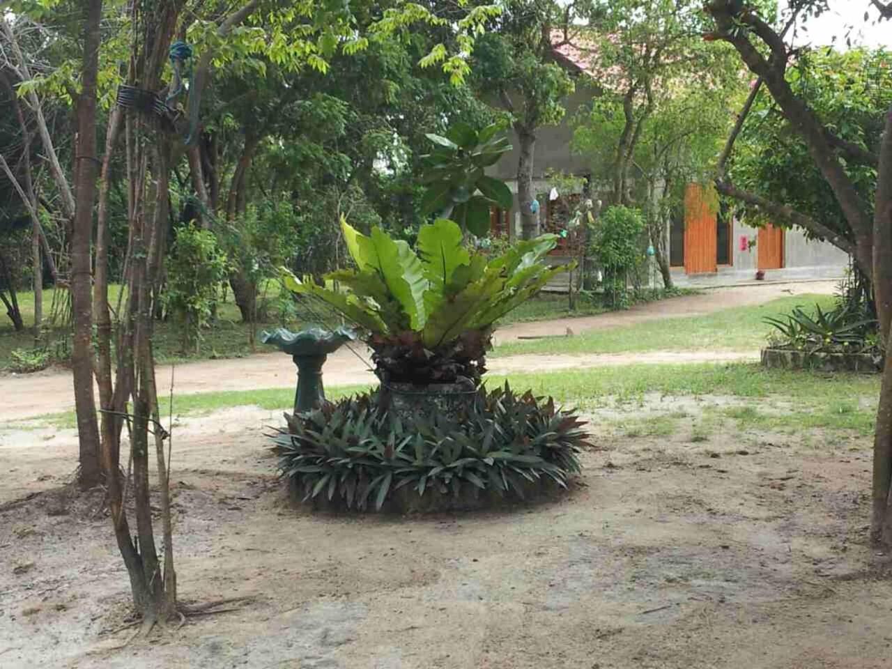Captain'S Bird Safari Lodge Puttalam Buitenkant foto