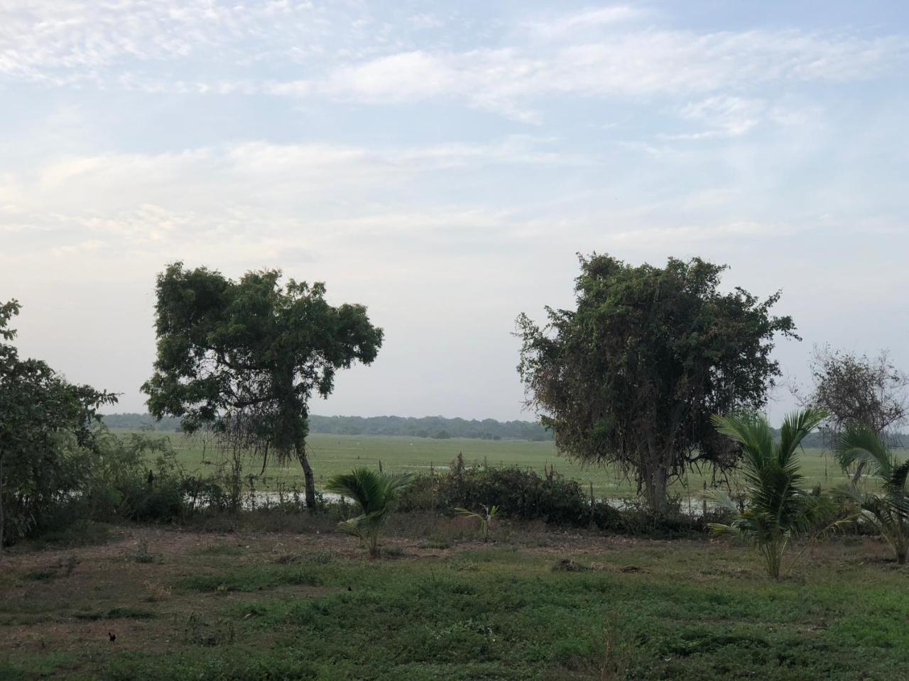 Captain'S Bird Safari Lodge Puttalam Buitenkant foto