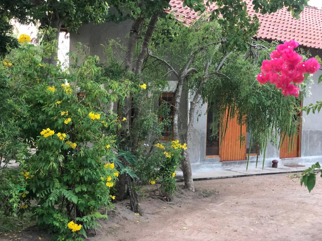 Captain'S Bird Safari Lodge Puttalam Buitenkant foto