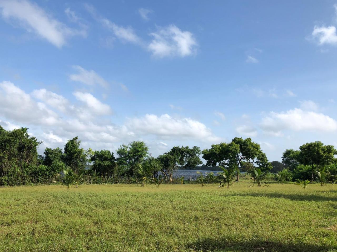 Captain'S Bird Safari Lodge Puttalam Buitenkant foto