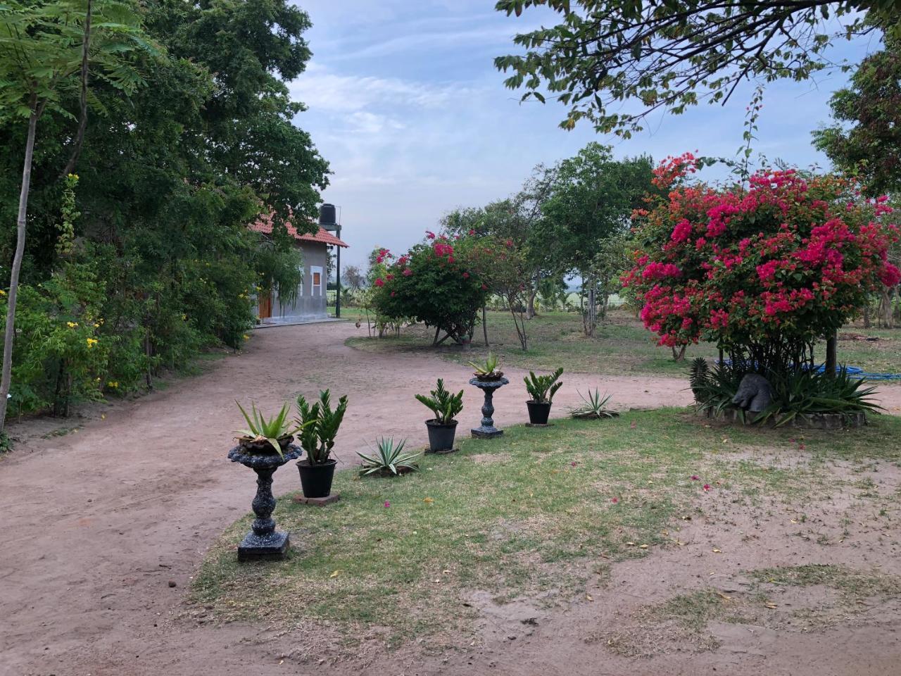 Captain'S Bird Safari Lodge Puttalam Buitenkant foto