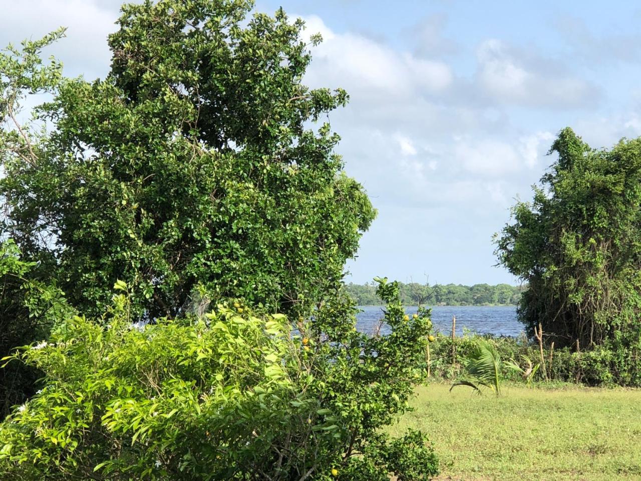 Captain'S Bird Safari Lodge Puttalam Buitenkant foto