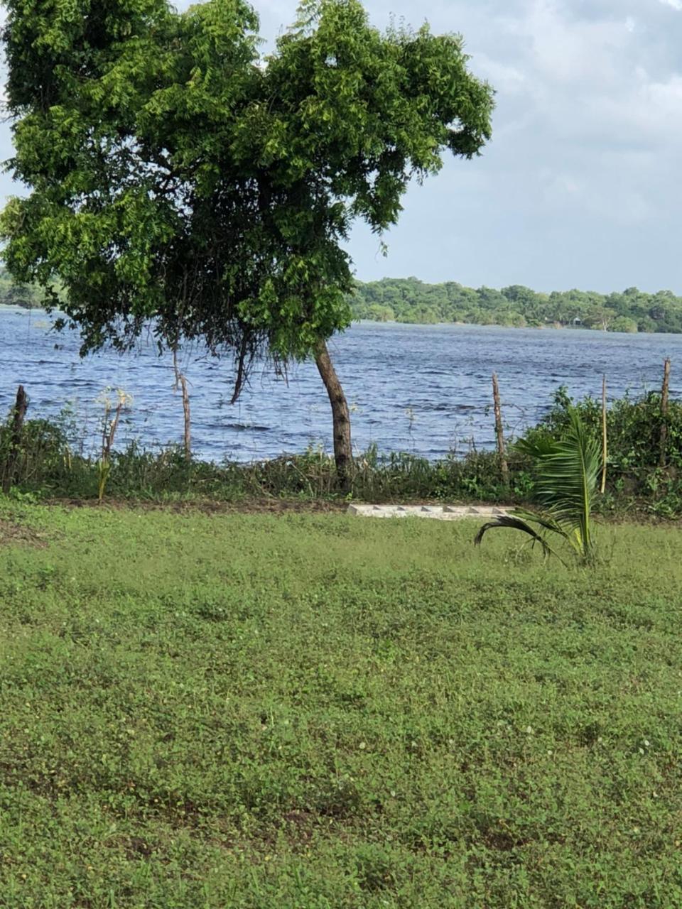 Captain'S Bird Safari Lodge Puttalam Buitenkant foto