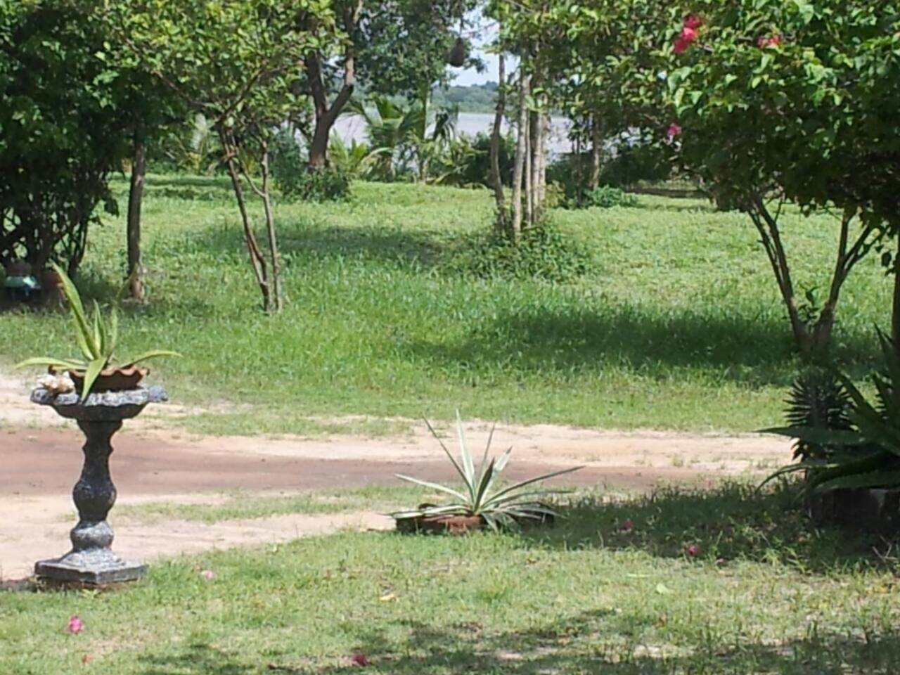 Captain'S Bird Safari Lodge Puttalam Buitenkant foto