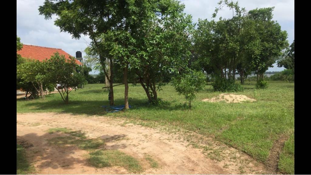 Captain'S Bird Safari Lodge Puttalam Buitenkant foto