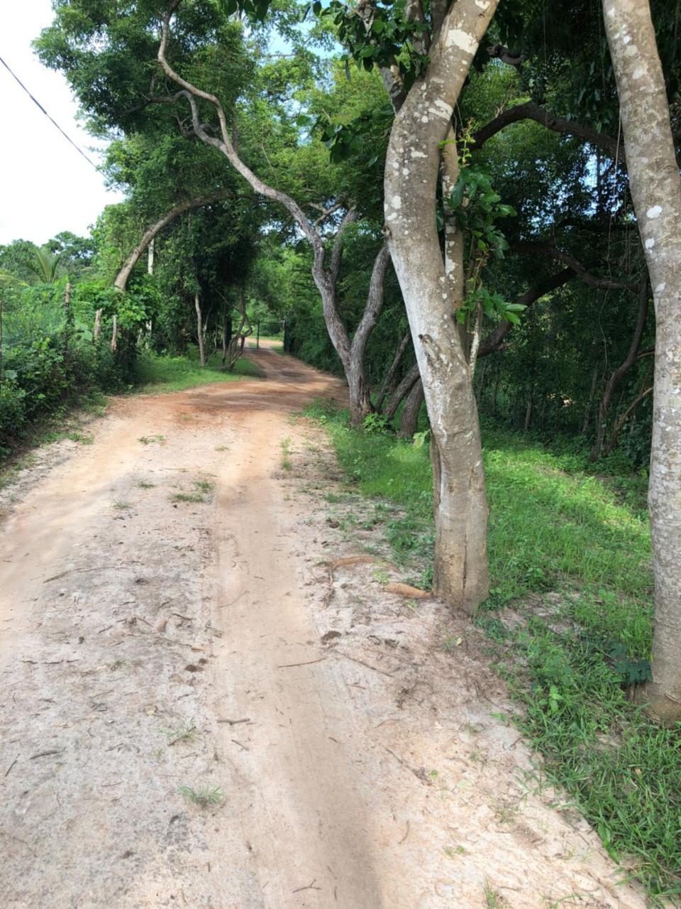 Captain'S Bird Safari Lodge Puttalam Buitenkant foto