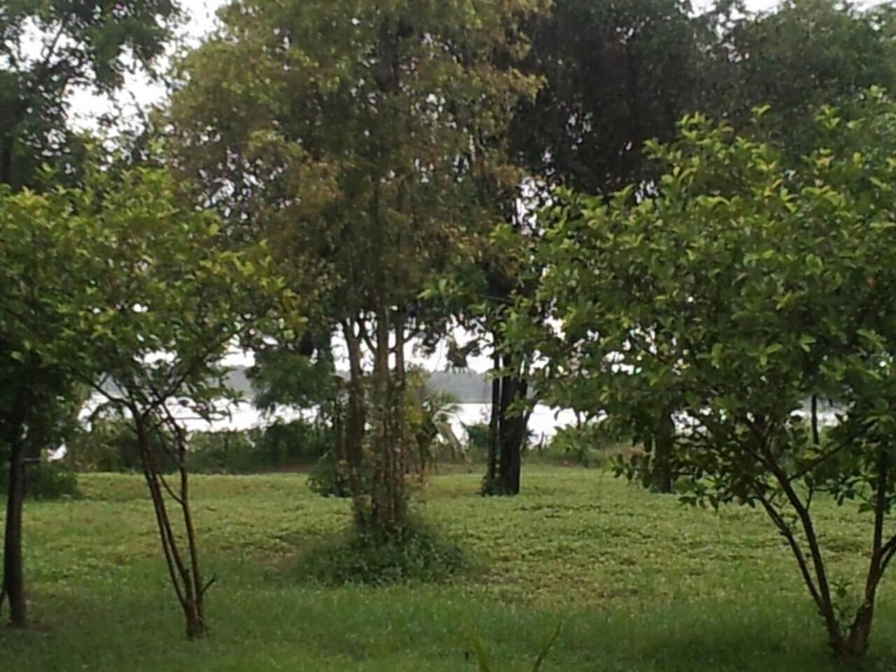 Captain'S Bird Safari Lodge Puttalam Buitenkant foto