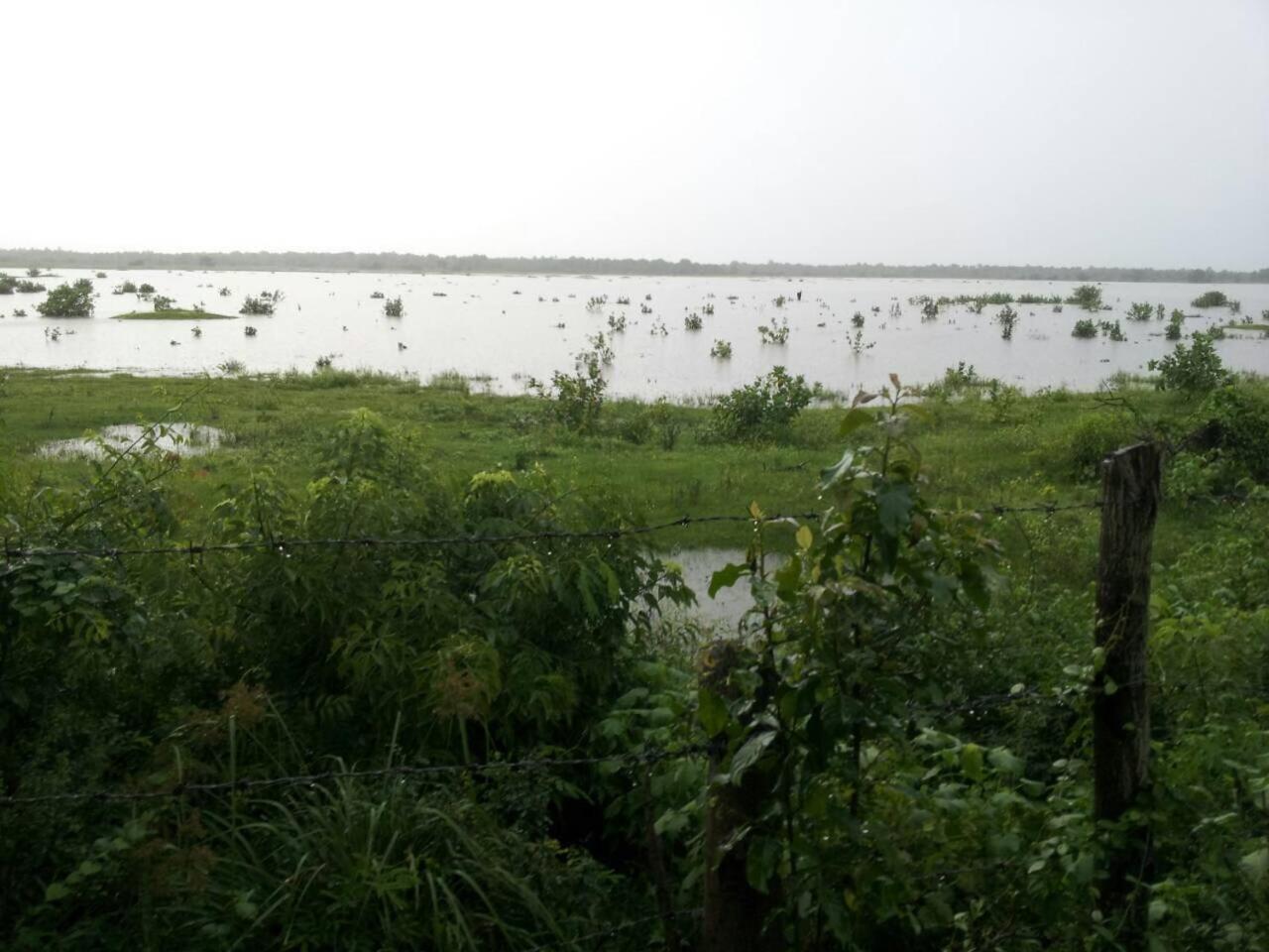 Captain'S Bird Safari Lodge Puttalam Buitenkant foto