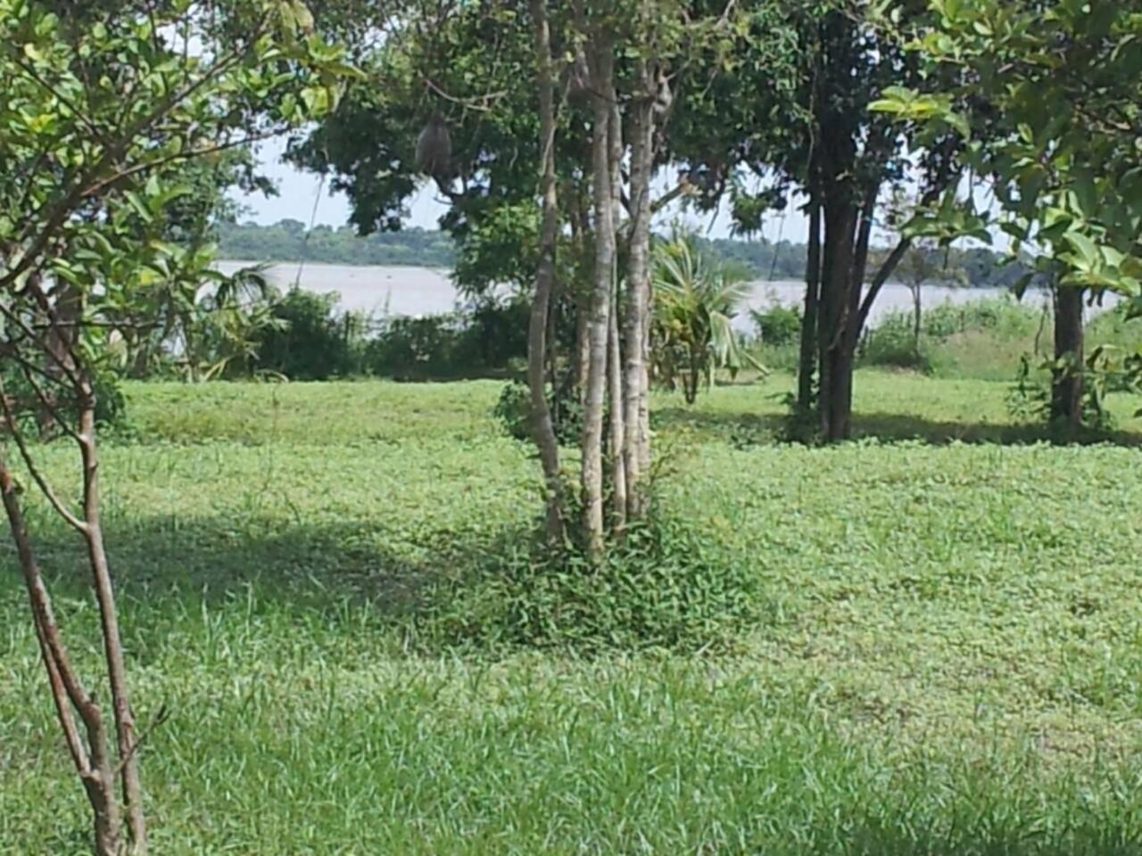 Captain'S Bird Safari Lodge Puttalam Buitenkant foto