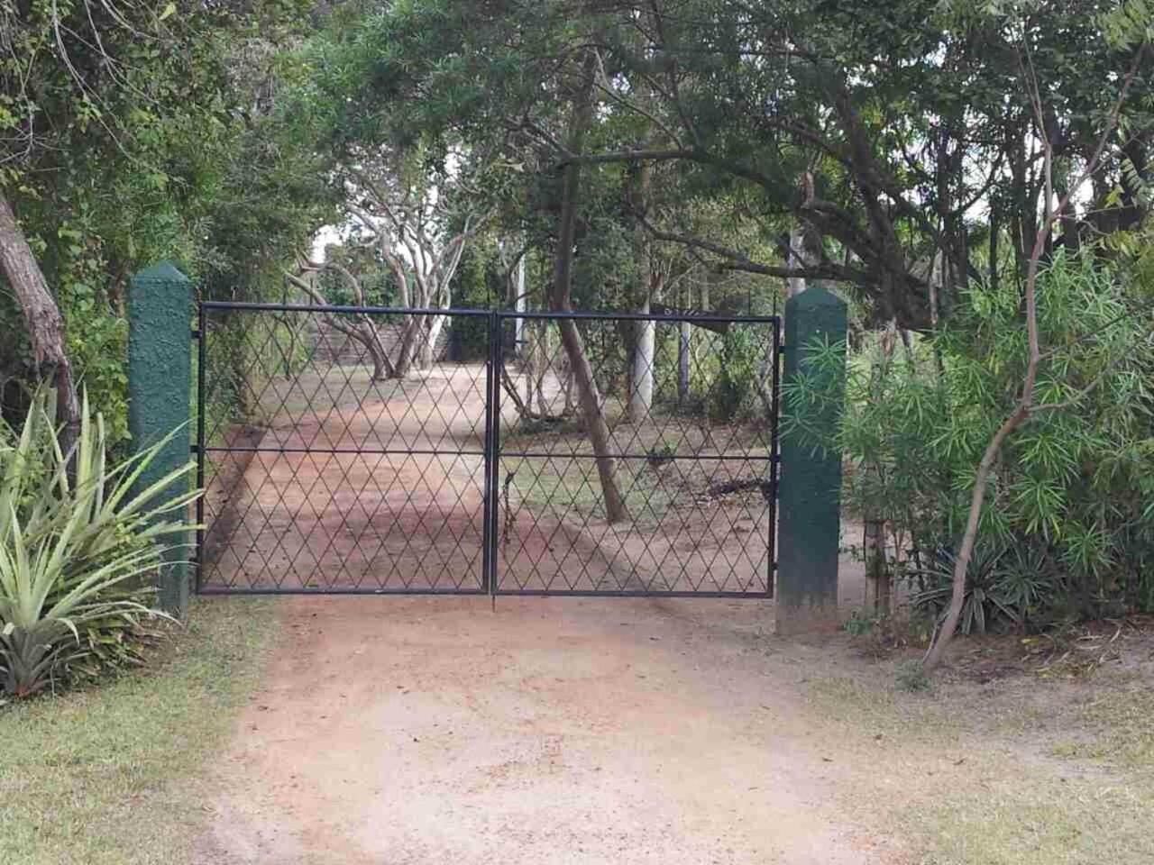 Captain'S Bird Safari Lodge Puttalam Buitenkant foto