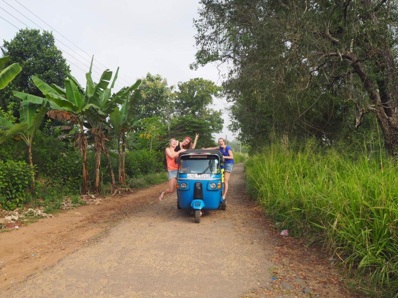 Captain'S Bird Safari Lodge Puttalam Buitenkant foto
