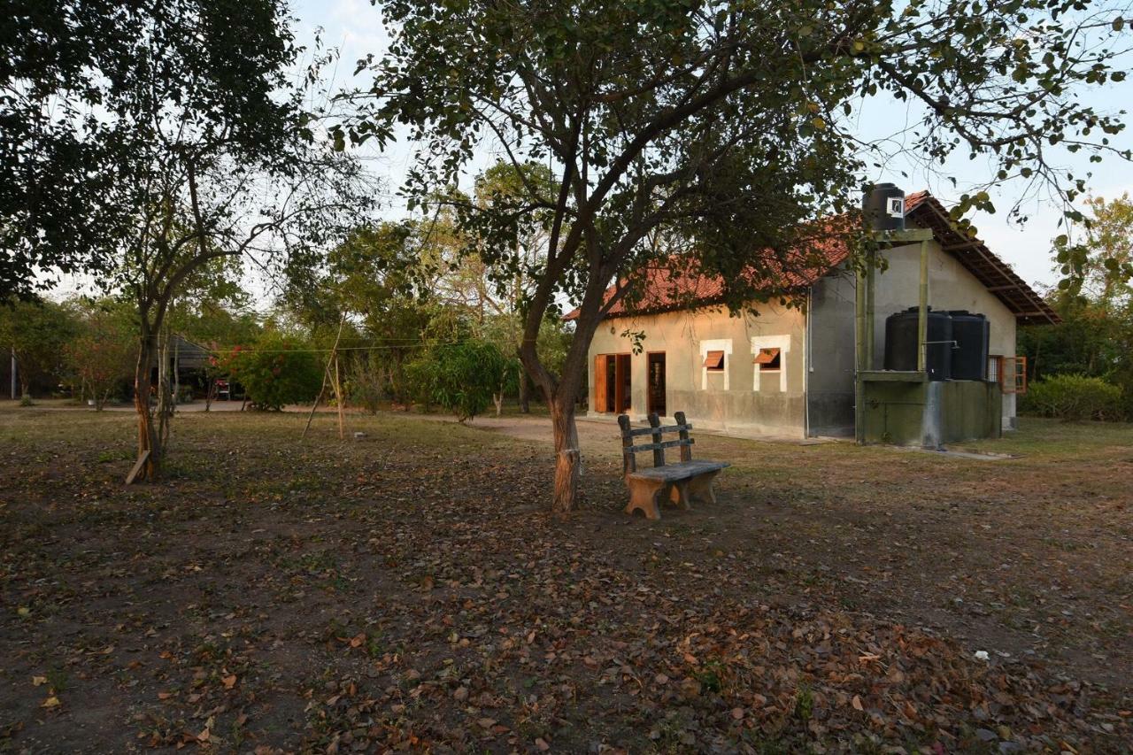 Captain'S Bird Safari Lodge Puttalam Buitenkant foto
